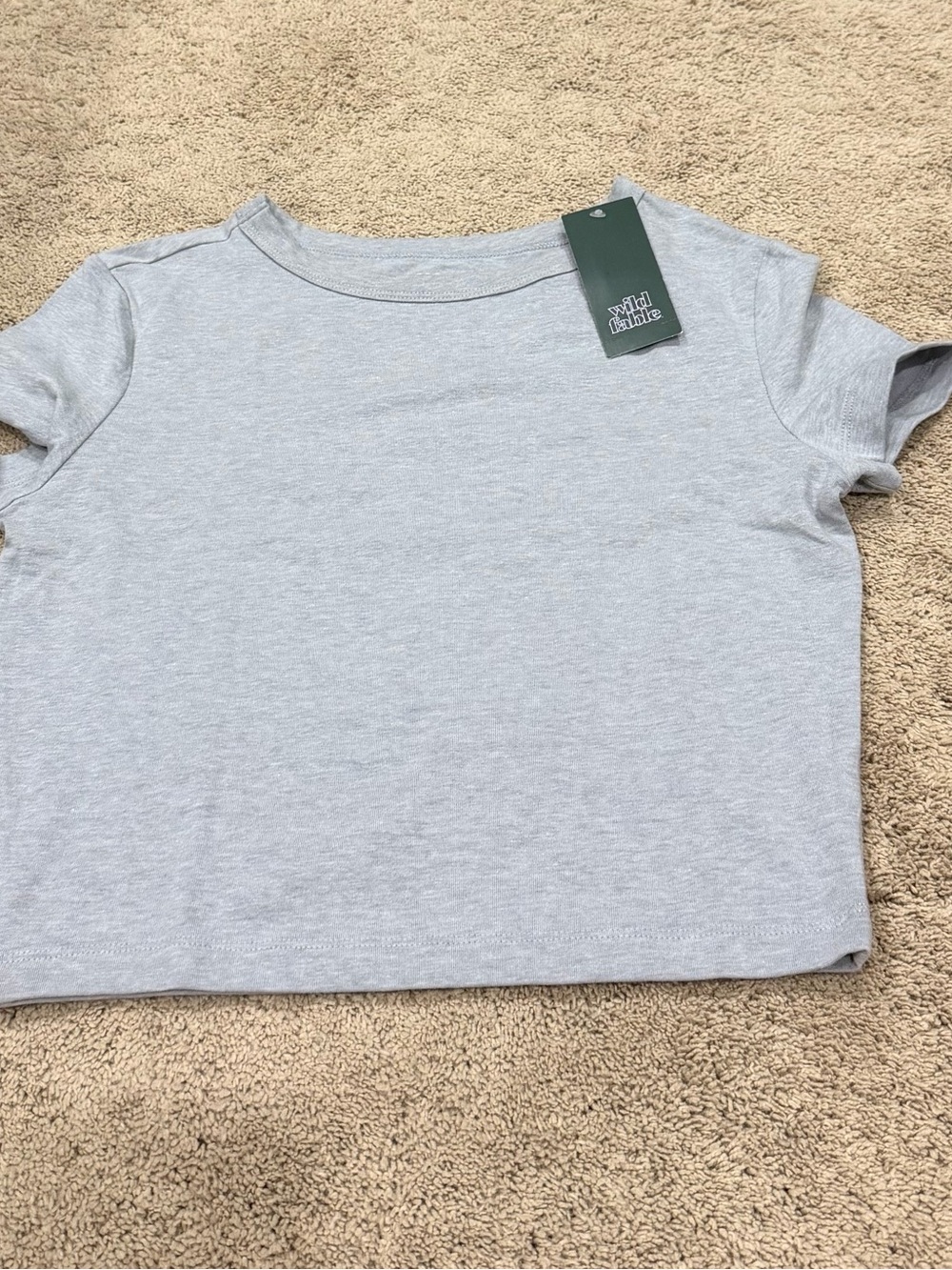 Wild Fable Women’s Short Sleeve Crewneck Baby Tee, Size Small